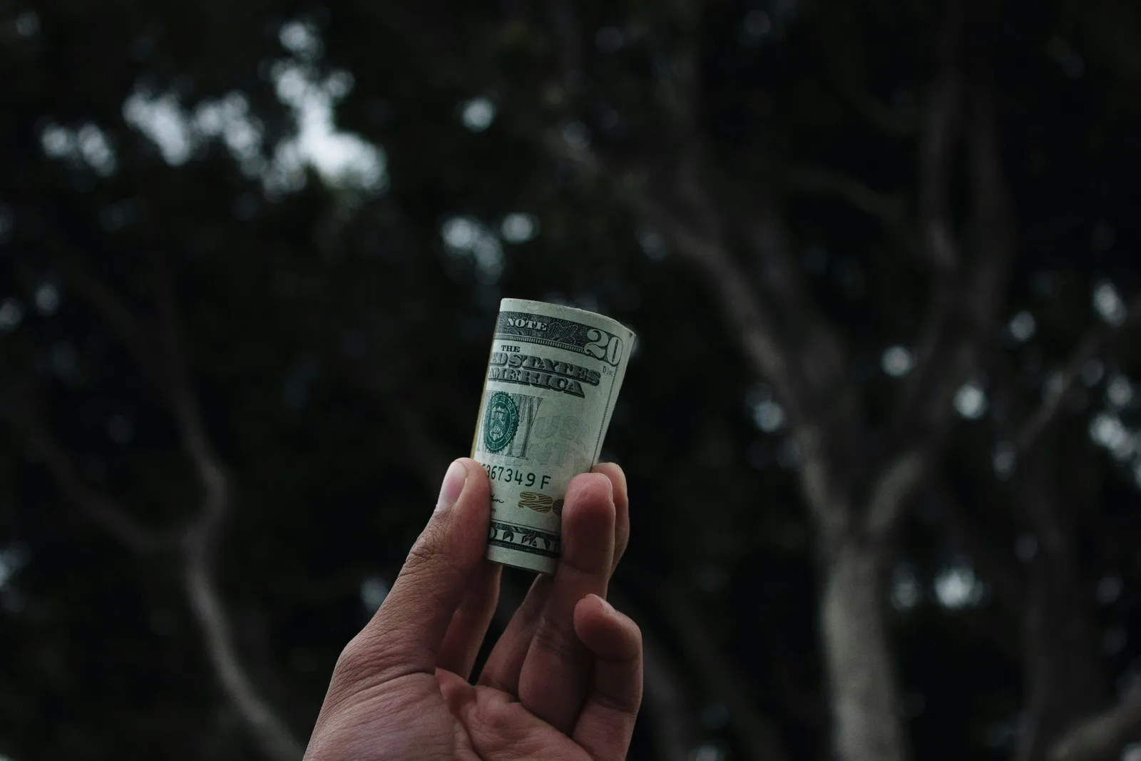 How Much Does a Wellness Retreat Cost (5 Tips to Not Break The Bank)