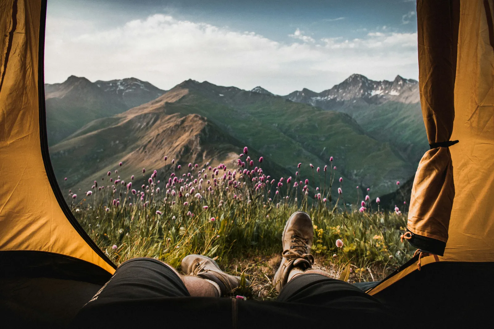 View from inside a yellow tent, hiking boots in the foreground, looking out at a flowering alpine meadow and mountain range.